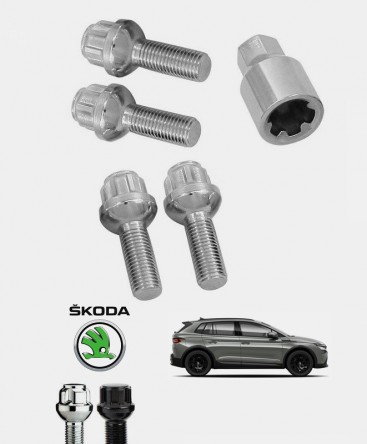 Ecrous antivol de roues Skoda Elroq